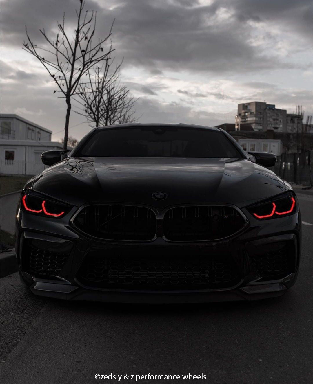 Dark Smoke BMW Badge Tint Overlay — 2-Piece | V1 Compatible | E/F Series | SuperWrappz