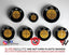 Full Gold Carbon V1 BMW Badge Overlay — Compatible with E/F Series | SuperWrappz