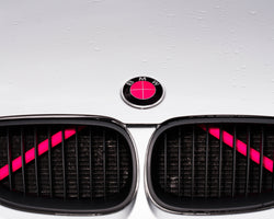 PINK Reflective / Luminescent V BARS Overlay FOR BMW Vinyl FITS YOUR BMW'S V BRACES / CRASH BARS