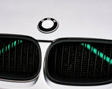 Green Reflective / Luminescent V BARS Overlay FOR BMW Vinyl FITS YOUR BMW'S V BRACES / CRASH BARS