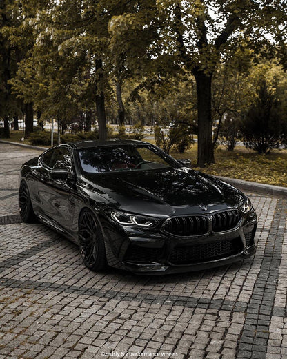 Dark Smoke BMW Badge Tint Overlay — 2-Piece | V1 Compatible | E/F Series | SuperWrappz