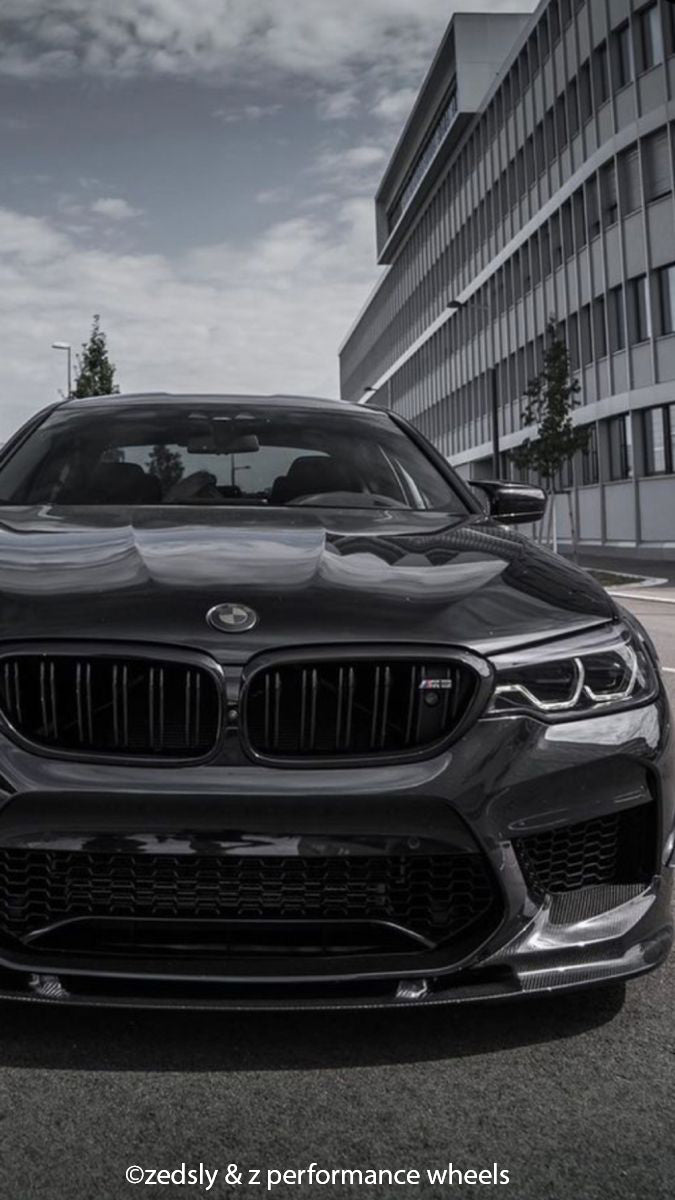 Light Smoke BMW Badge Tint Overlay — 2-Piece | V1 Compatible | E/F Series | SuperWrappz