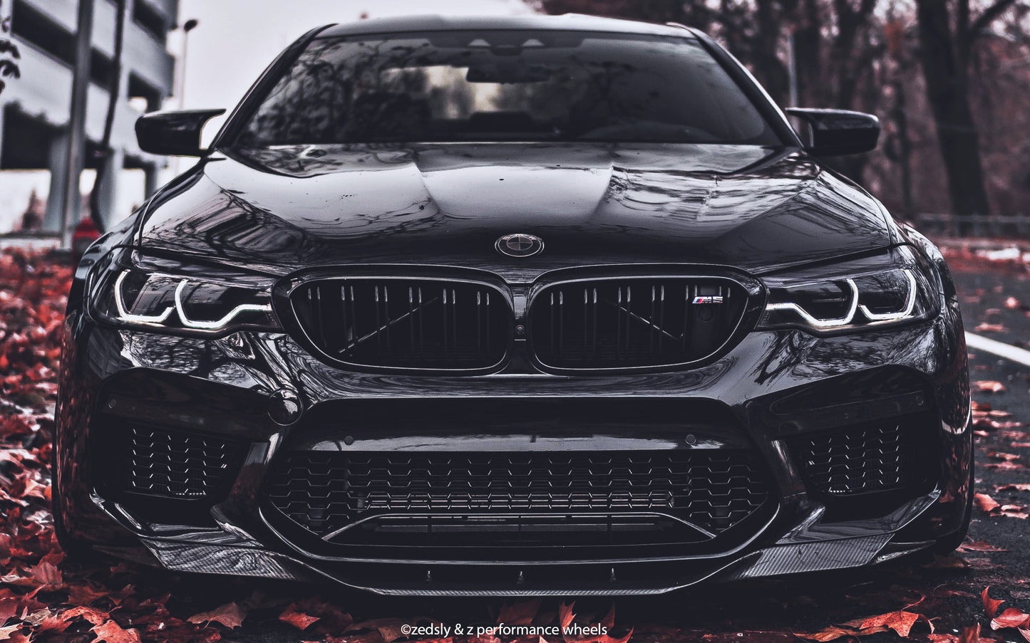 Dark Smoke BMW Badge Tint Overlay — 2-Piece | V1 Compatible | E/F Series | SuperWrappz